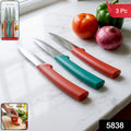 Multipurpose Kitchen Fruit  Vegetable Cutting Knife Set (Pack Of 3)